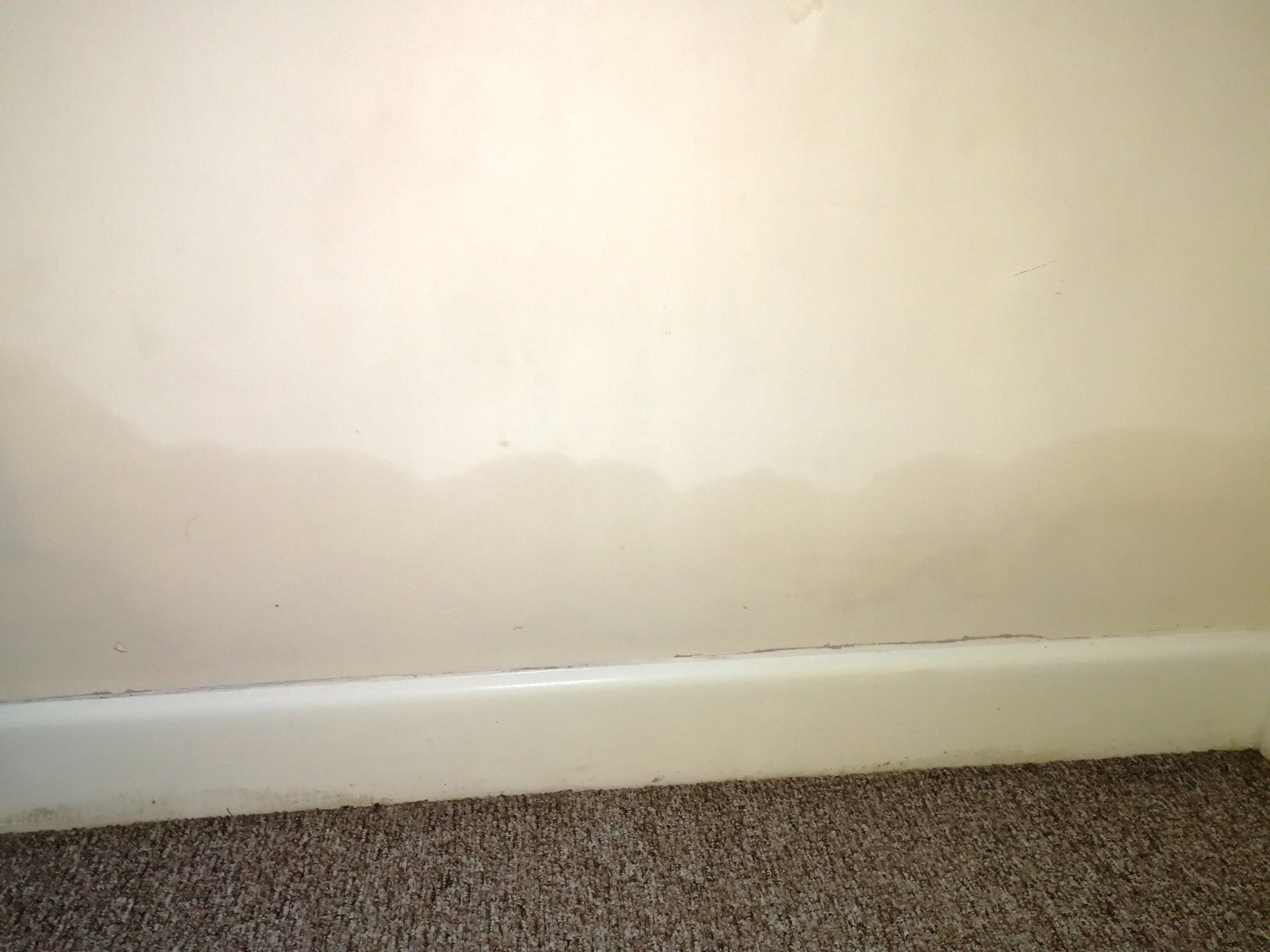 rising damp