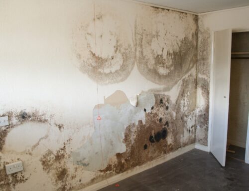What is Penetrating Damp?