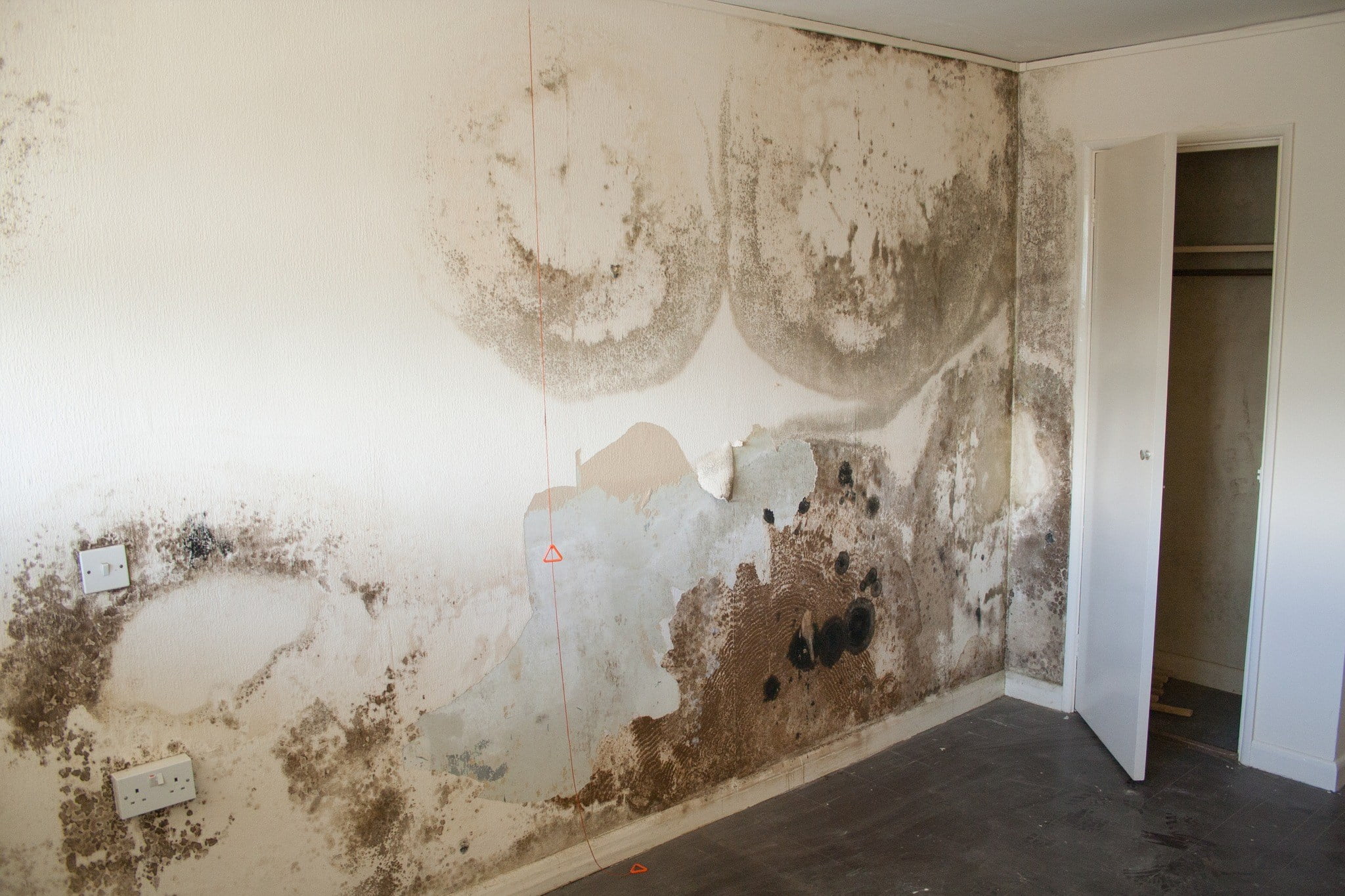 penetrating damp