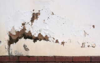 rising-damp