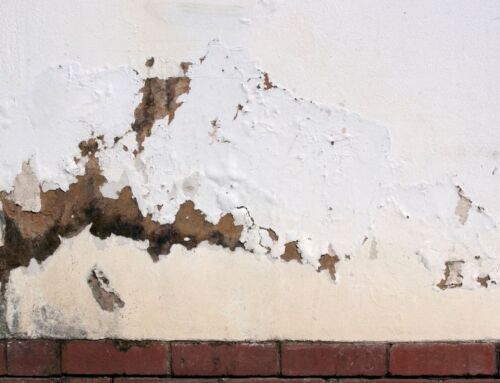 What Causes Rising Damp?