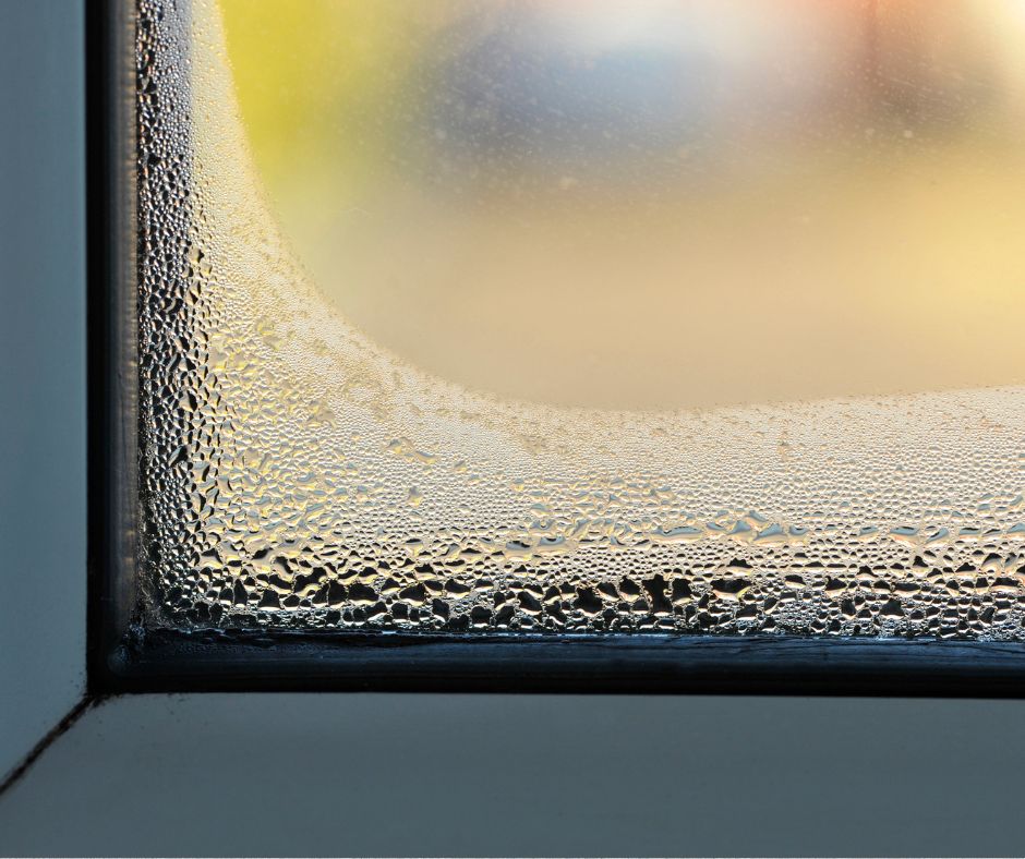 Free Damp Survey 21 Condensation and moisture on a window