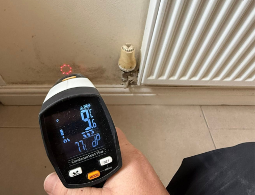 Damp Survey FAQs: Free and Paid Surveys
